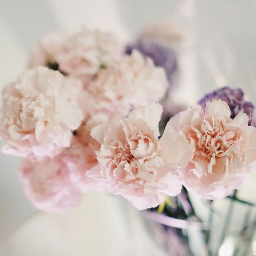 【想いを形に】母の日に贈るスペシャルケア