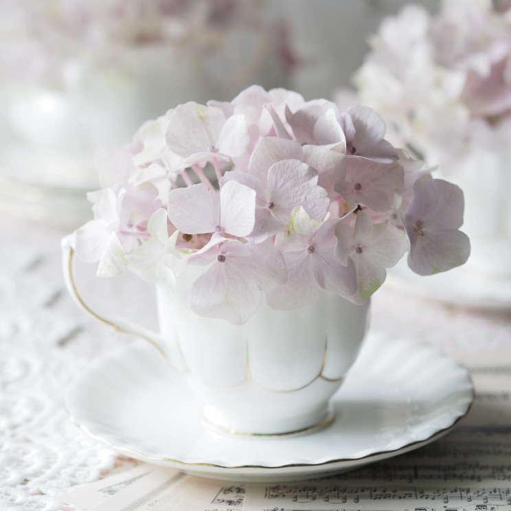 【梅雨を乗り切る！】気持ちまでスッキリ♪ヘッドスパ