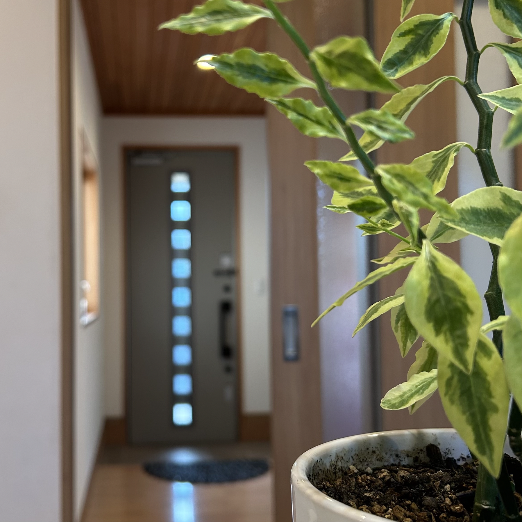 【ダウンタイムは？効果は？】知っておきたいピーリングの特徴3つ